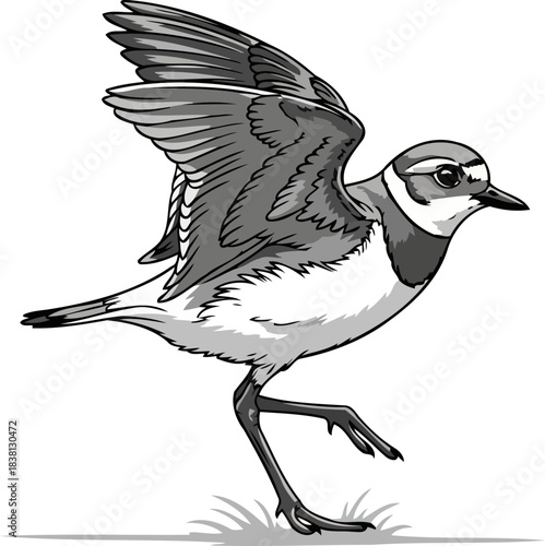 earthbound ascendant agile shorebirds quiet urge to soar, isolated on transparent background