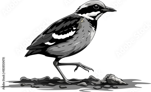 earthbound wanderer persistent steps through natures unfolding tapestry, isolated on transparent background