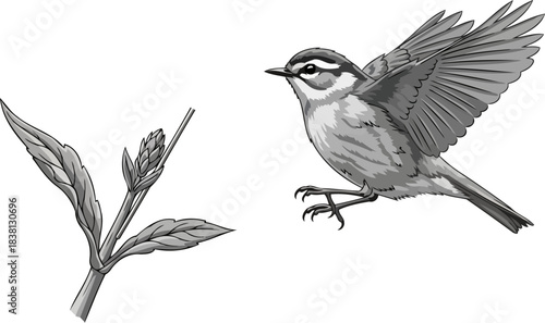 harmonious elements bird in motion, plant in potential, captured in greyscale art, isolated on transparent background
