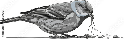 greyscale grit an early birds determined pursuit of vital nourishment, isolated on transparent background