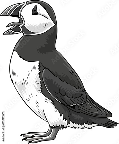 oceanic orator graphic puffin illustration delivers a powerful, untamed message, isolated on transparent background