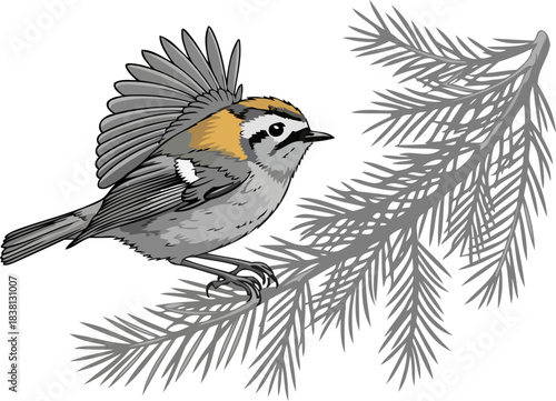 pine branch sprite the resilient spirit of natures smallest crown, isolated on transparent background