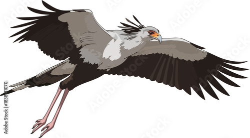 savannas crested guardian soaring grace amidst wild horizons, isolated on transparent background