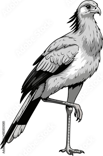 savanna sentinel the longlegged hunters graceful poise and unwavering vigilance, isolated on transparent background