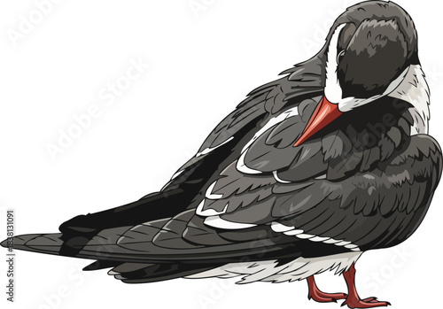 ruby beaks retreat embracing natures silent art of selfrenewal, isolated on transparent background