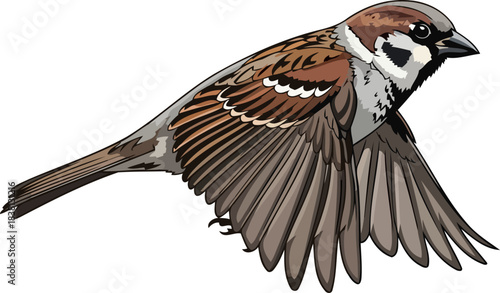 urban spirit takes flight a common sparrows dynamic journey in art, isolated on transparent background