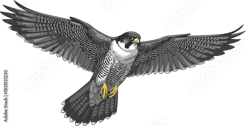 velocity embodied a peregrine falcons dominant presence soaring through skies, isolated on transparent background