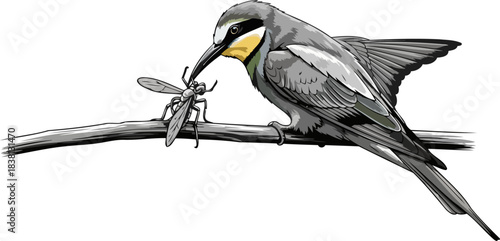 apex perch a vivid glimpse into natures unrelenting cycle of sustenance, isolated on transparent background