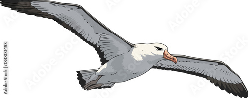 albatross monarch effortless mastery of open skies, guiding limitless journeys, isolated on transparent background