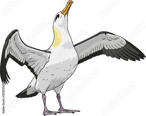 celestial mariner the albatross, guiding spirit of endless horizons, isolated on transparent background