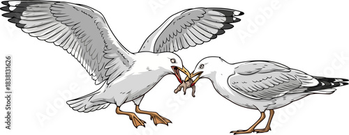 coastal dominion the unseen struggle for resources in urban wildlife realms, isolated on transparent background