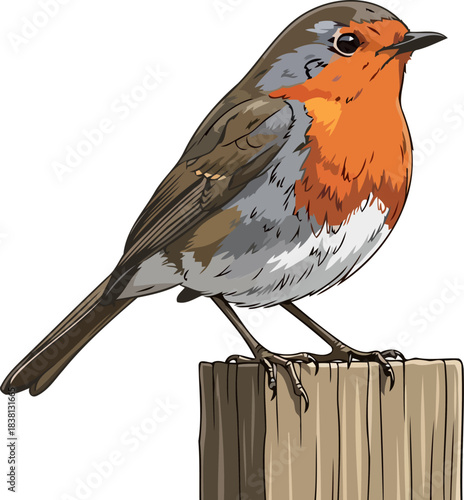 crimson breast, evergreen spirit the beloved robin, emblem of natural harmony, isolated on transparent background