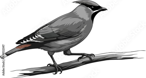 noble crest, keen eye natures avian majesty in digital art, isolated on transparent background