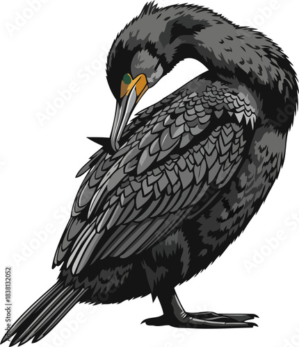 natures reflection a meticulous cormorants ritual of pristine selfcare, isolated on transparent background