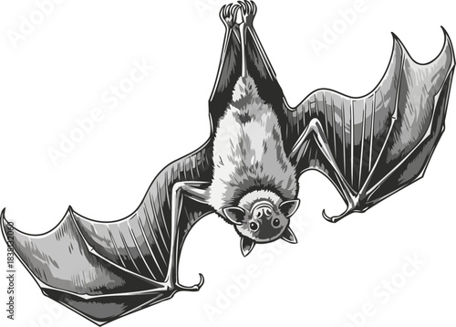 nocturnal navigator embracing the world from an unseen perspective, isolated on transparent background