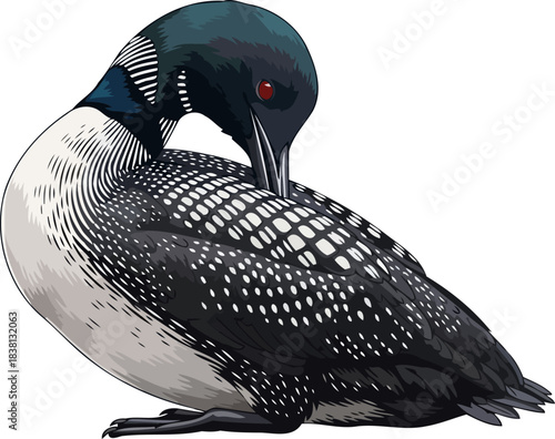 northern calls calm a loons regal solitude in pristine wild waters, isolated on transparent background