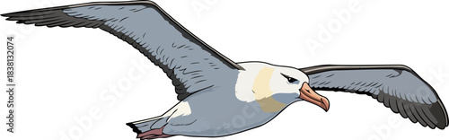 oceanic wanderers graceful ascent an enduring symbol of boundless freedom, isolated on transparent background