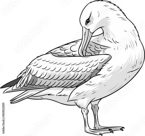 pristine plumage an albatrosss serenity, attending to natures fine details, isolated on transparent background