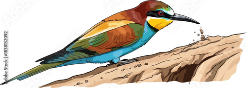 rainbow architect vivid plumage crafts a sanctuary of earth and sky, isolated on transparent background