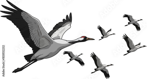 skyward symphony cranes in harmonious flight, an emblem of collective journey, isolated on transparent background