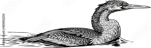 stillness on the surface an elegant aquatic birds timeless illustrated form, isolated on transparent background