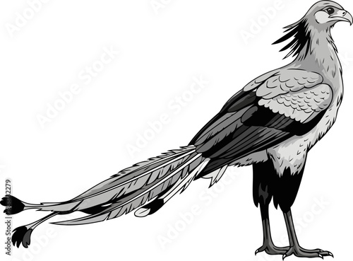 the scholar of the savanna majestic bird of prey with distinctive crest, isolated on transparent background