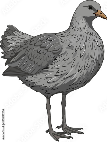 understated feathers a graphic celebration of waterfowls natural poise, isolated on transparent background