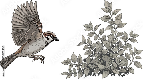 urban wingbeat resilient avian spirit soaring towards unseen horizons, isolated on transparent background