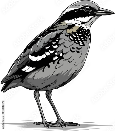 whispers of the wild an enduring spirit in monochrome hues, artistry, isolated on transparent background