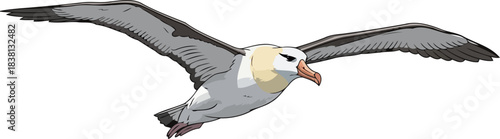 wings of resilience an albatrosss timeless voyage across the vast ocean, isolated on transparent background