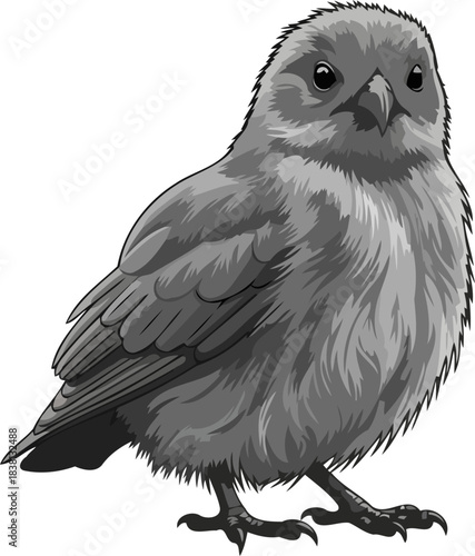 young souls gaze innocence in avian form, perfect for gentle designs, isolated on transparent background