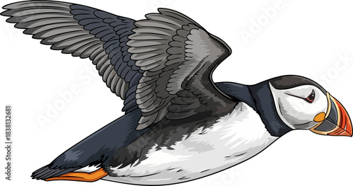 arctic charmers dynamic flight puffins vibrant journey across icy horizons, isolated on transparent background