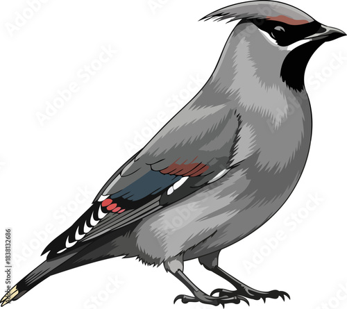 arctic artistry a crested wanderers graceful presence in stylized form, isolated on transparent background