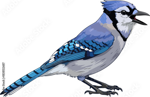 azure orator blue jays spirited proclamation, natures vivid echo, isolated on transparent background