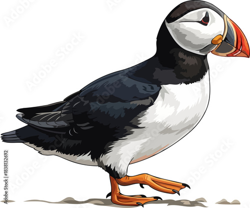 coastal charmers confident promenade puffins vibrant stride across northern shores, isolated on transparent background