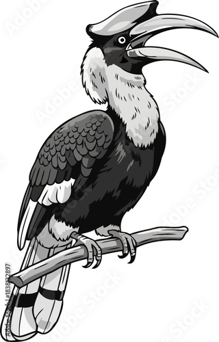 jungles grayscale echo a hornbills emotive call from the wild, isolated on transparent background