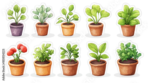 Colorful Cartoon Kitchen Garden Sprouts Stickers on White Background for Home Decor