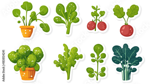 Lively Action of Gardening, Fresh Sprouts in a Kitchen Garden, Illustrative Stickers on White Background