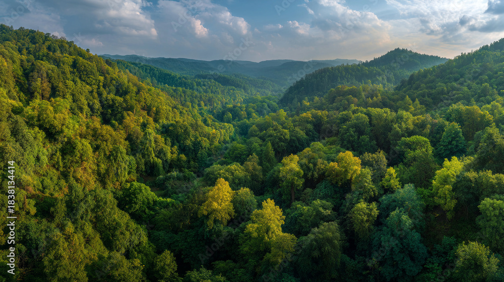 Obraz premium View of a forested valley with hills in the background during daytime with clouds in the sky