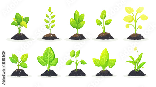 Cute Vegetable Seedlings Sprouting on White Background in Vibrant Nature Illustration