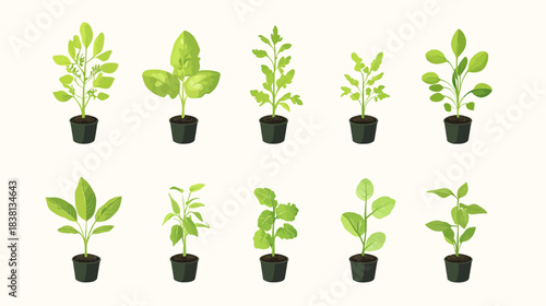 Cute Vegetable Seedlings in Pots, Home Garden, Illustration, Light Background, Bird's Eye View, Plant Growth Concept