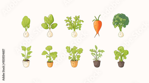 Cute Vegetable Seedlings Growing in Pots on White Background - Illustrative Concept