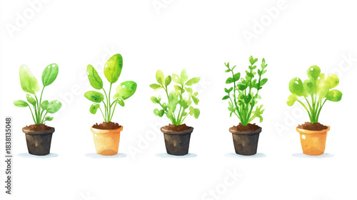 Hand-Drawn Vegetable Sprout Stickers, Nature, Home, Illustration, Greenery, Artistic Viewpoint, Organic Concept