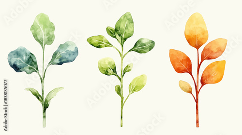 Artistic Hand-Drawn Vegetable Sprouts Illustrations on White Background