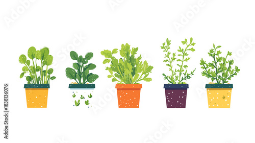 Growing Vegetables, Subject: Seedlings, Location: On a White Background, Content Type: Vector Illustration, Environment: Indoor, Viewpoint: Geometric Design, Concept