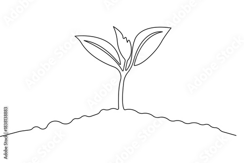 Continuous one line drawing of a plant vector outline illustration isolated black and white