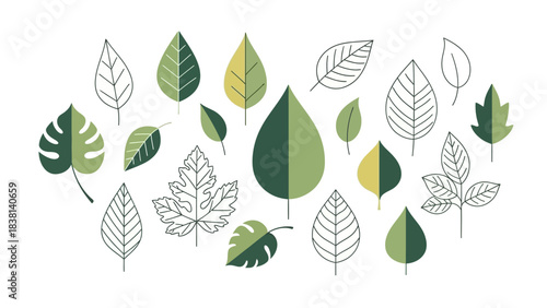 A diverse collection of green and outlined leaves in various shapes and sizes, representing different plant types.