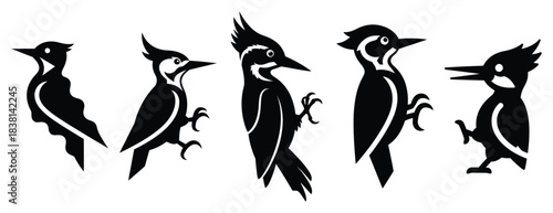 wobbly woodpecker silhouette icon set. Animals icons collection. Animal silhouette icons. Isolated on White background