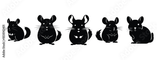 cheerful chinchilla silhouette icon set. Animals icons collection. Animal silhouette icons. Isolated on White background