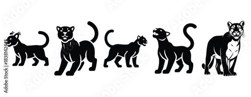 cheery cougar silhouette icon set. Animals icons collection. Animal silhouette icons. Isolated on White background